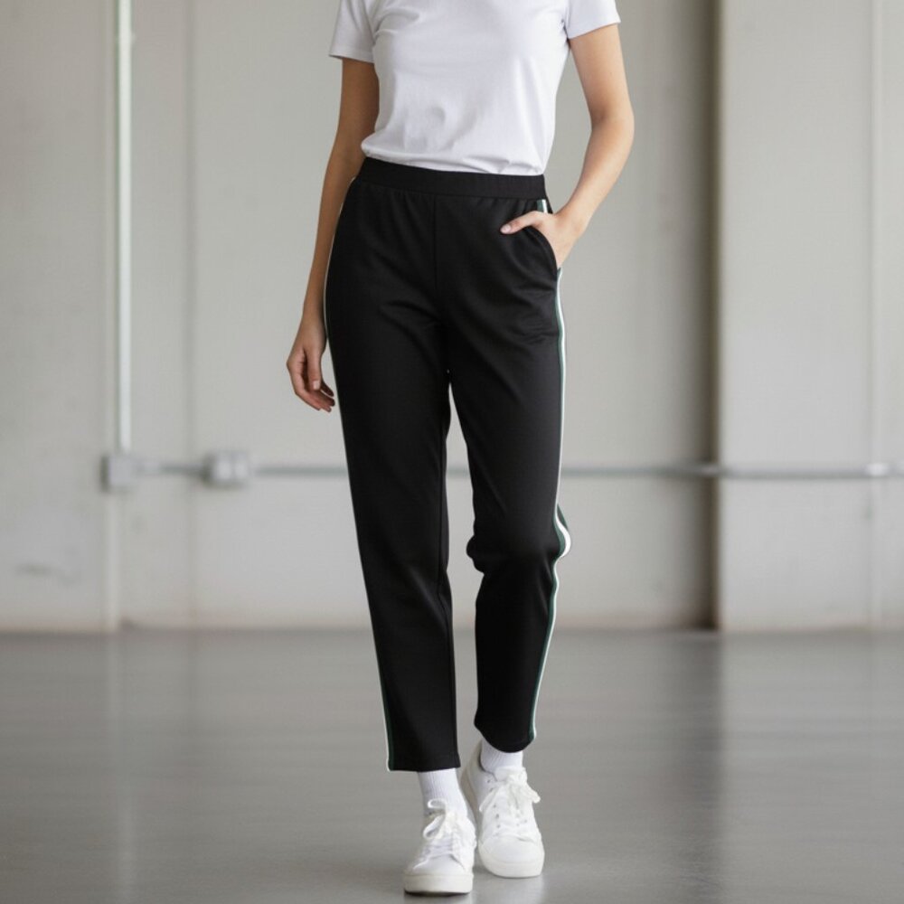Aritzia Wilfred Darontal Pant Navy Side Stripe Trousers Pleated High Waist 00